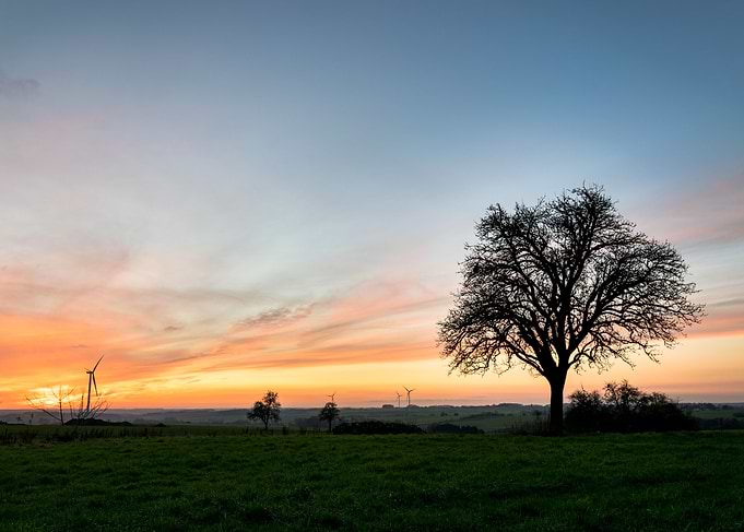 Photo Landscape Natural