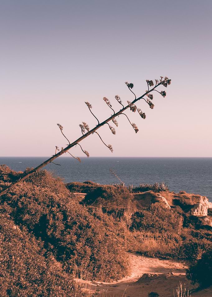 An Impending Fall