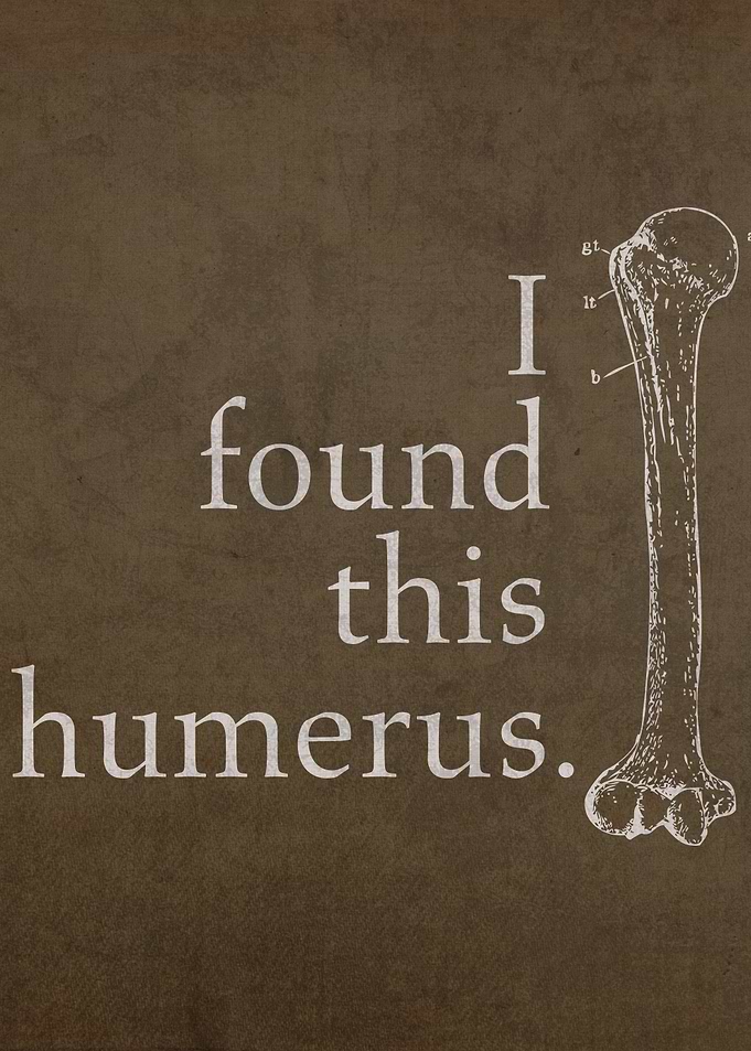 I Found This Humerus