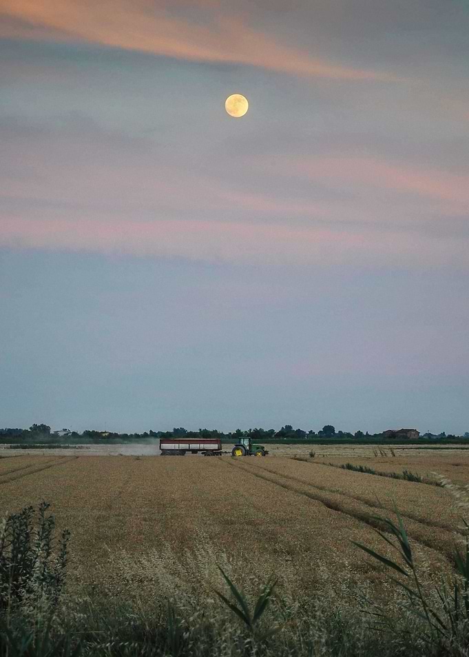 Threshing