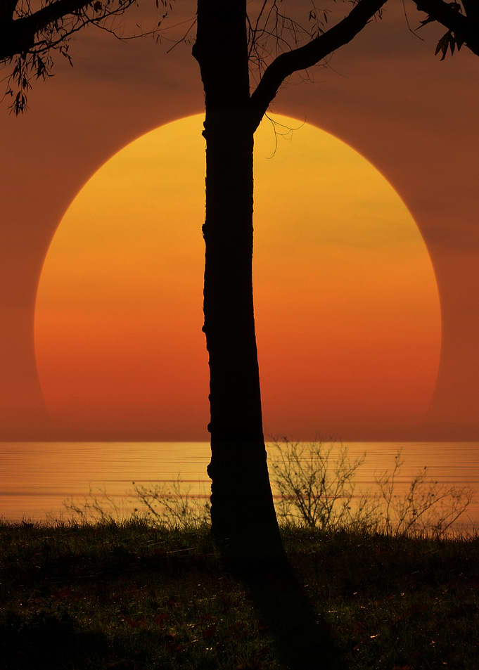 beautiful sunset setting behind trees