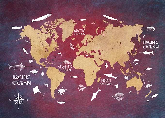 World Map Oceans Life