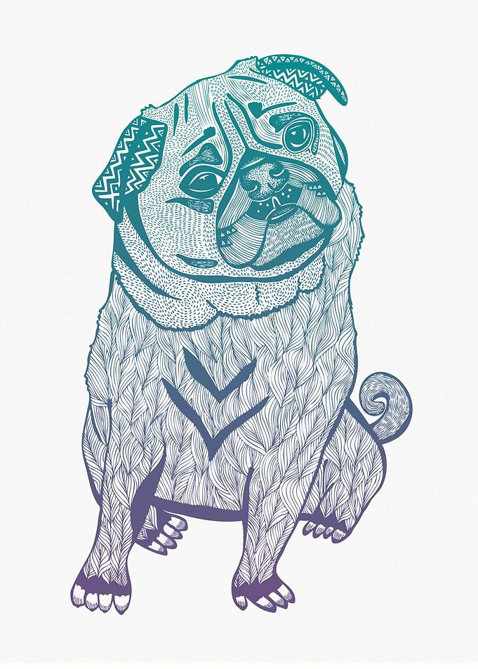 Duotone Pug