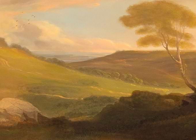 Serene View