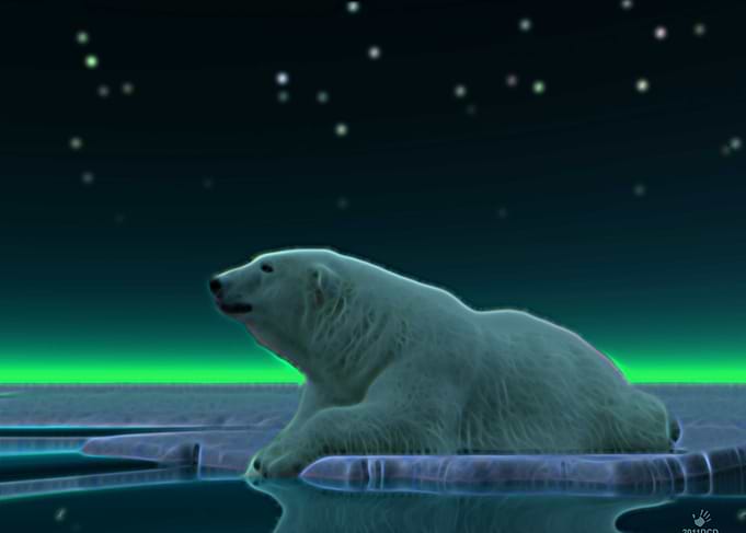 A peaceful moment in the long Arctic night. A Polar Bea ...