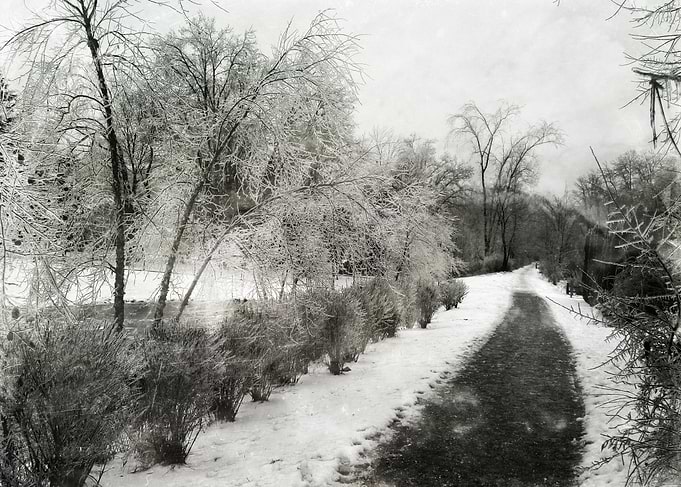 Path xv