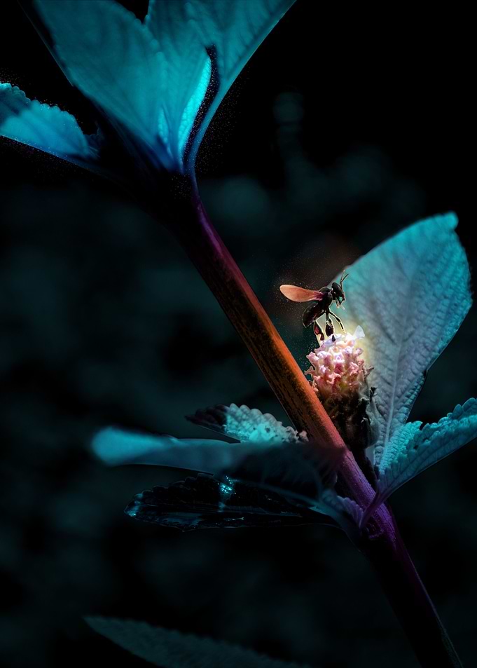 Glowing Bee