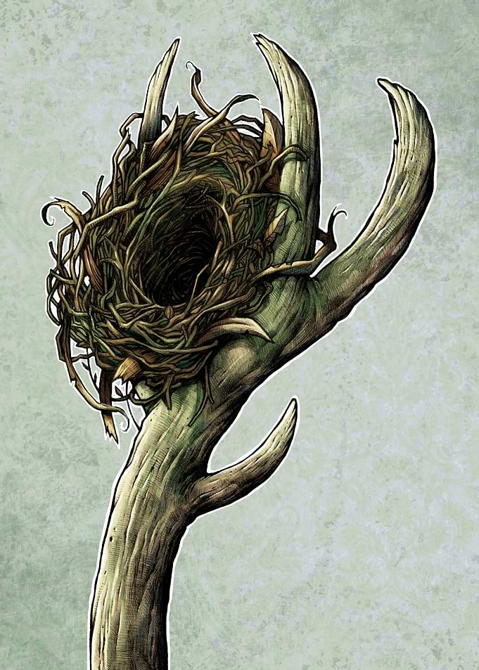 Bird Nest