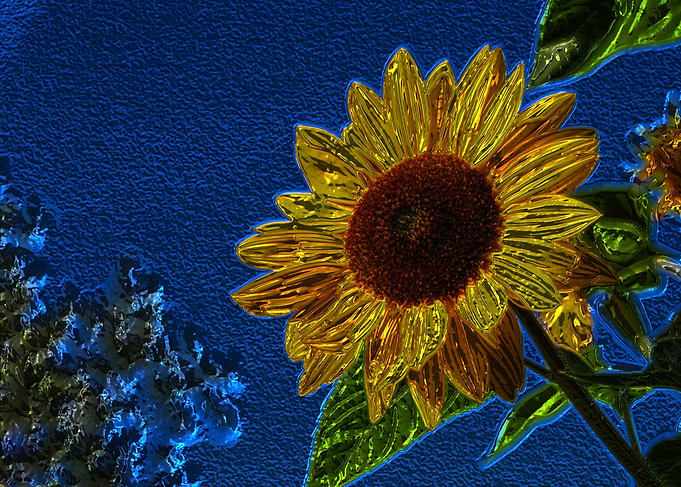 Graphic of a decorative yellow sunflower with a deep bl ...