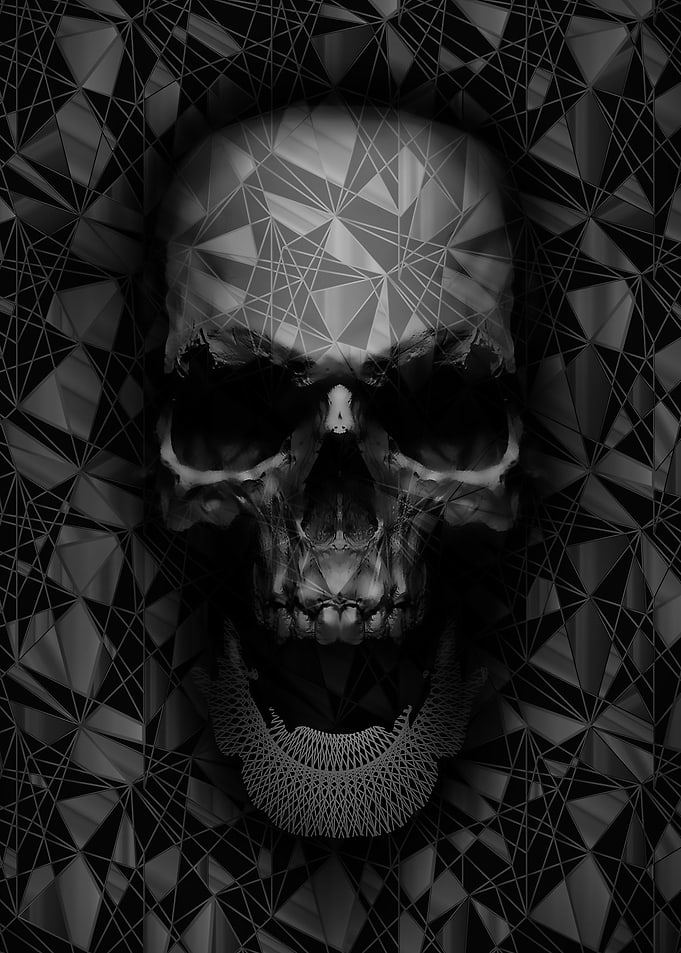 Geometric Skull