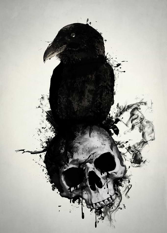 Raven and Skull
