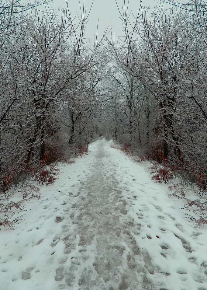 Winter Path