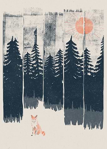 A Fox in the Wild...