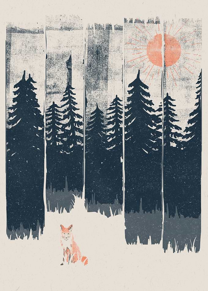 A Fox in the Wild...