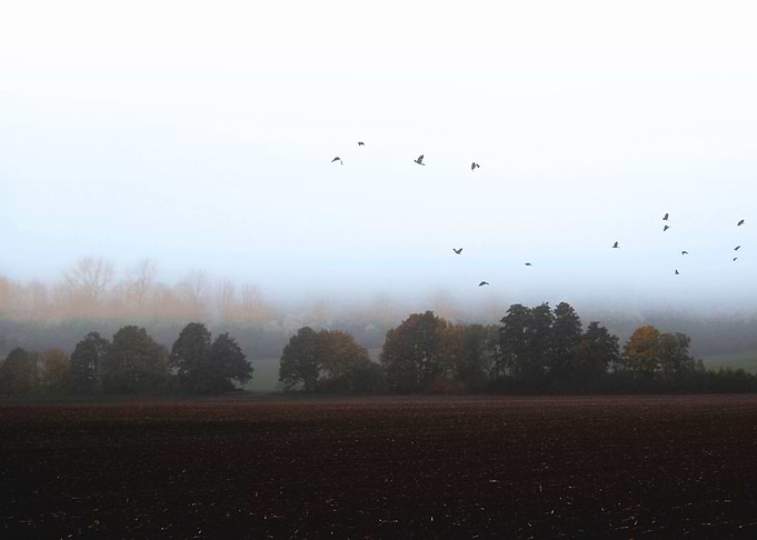 Title: Misty October Day VIa. Photography and digital p ...