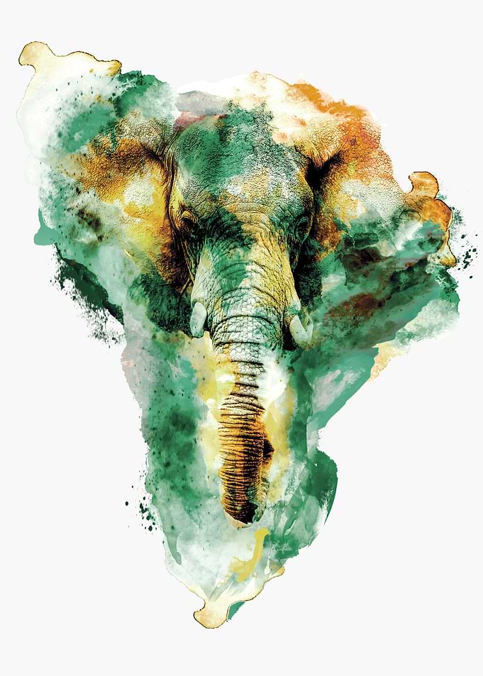 Digital Art by RIZA PEKER