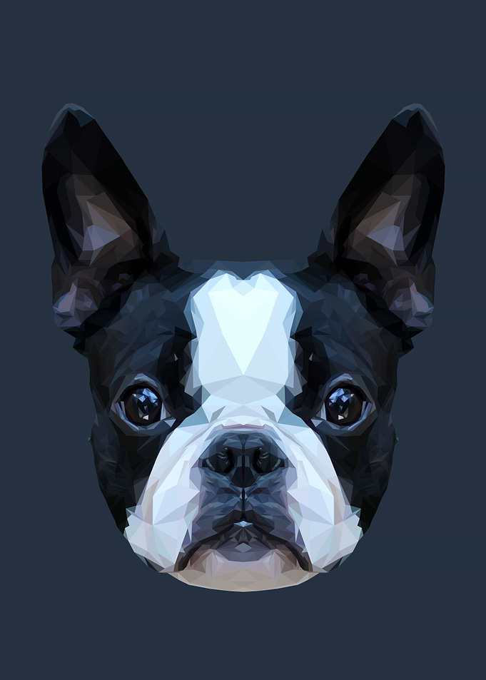 Frenchie / Boston Terrier Polygon Art // Navy