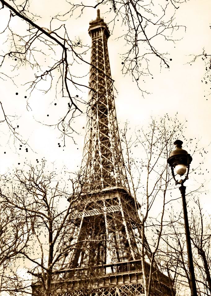 Tower or Branches