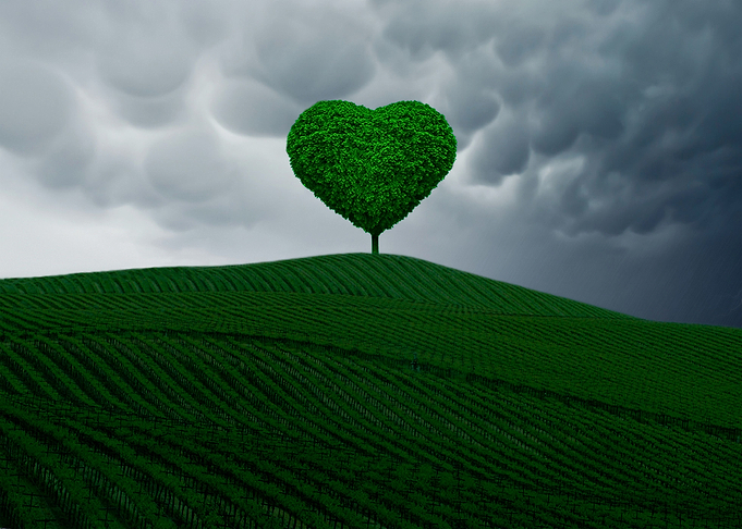 The little green heart Tree