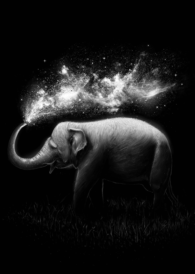 Elephant Splash