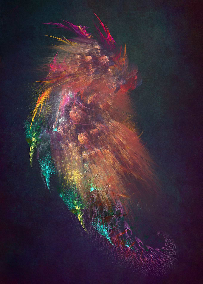 Little dragon