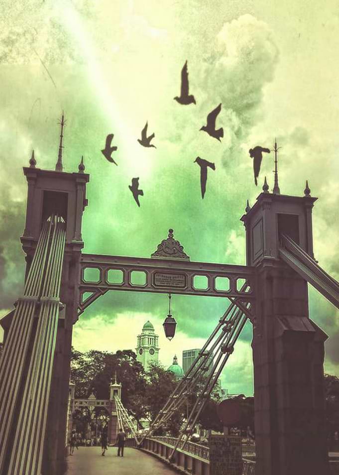 Cavenagh Bridge