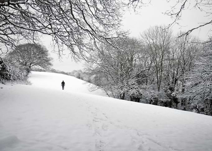 Snow covered fields