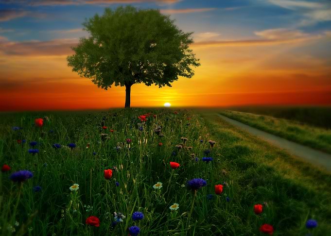 Beauty of Nature