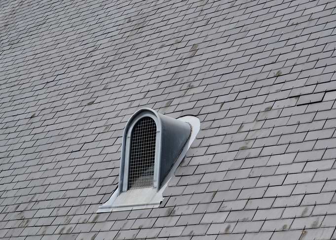 Slate roof of the Angoulême's City Hall, with a charact ...