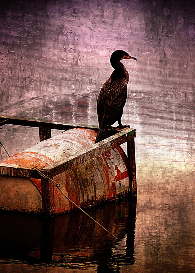 A mixed media art and photography piece of a water bird ...