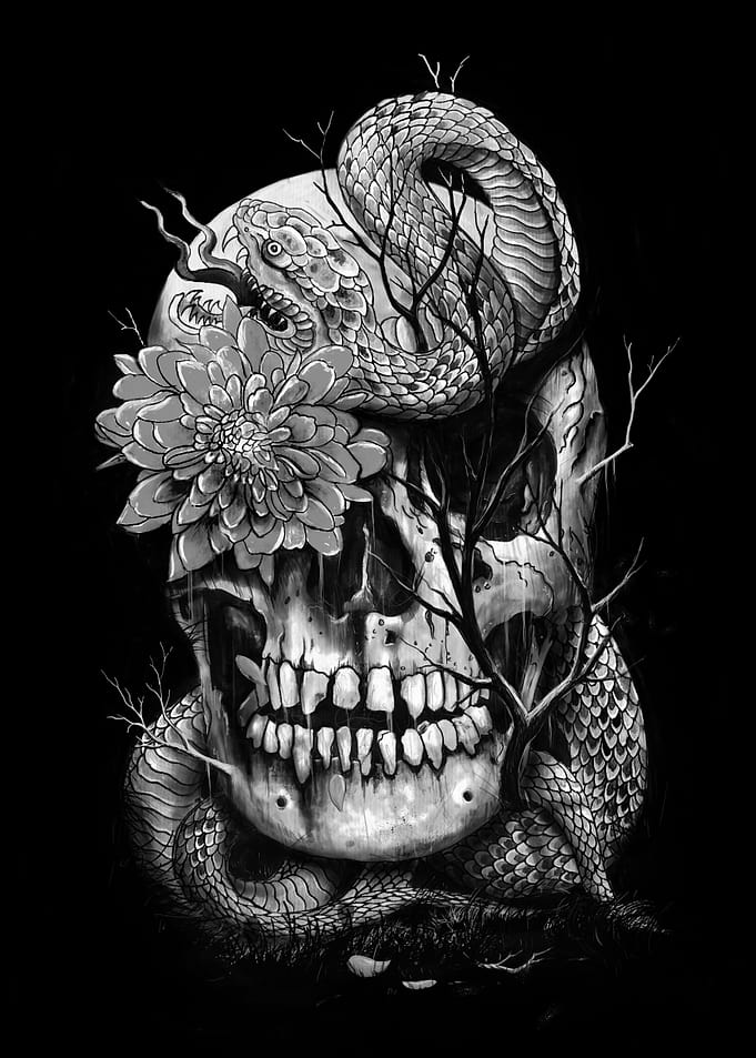 Snake and Skull