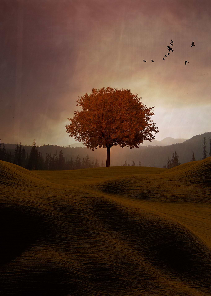 the little red Autumn Tree