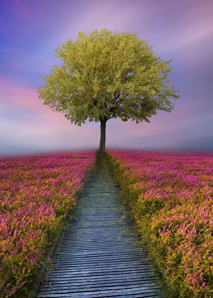 standing alone