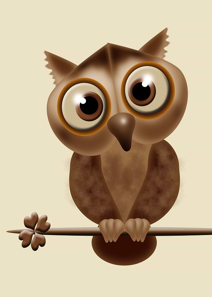 Little Owl 2 CB