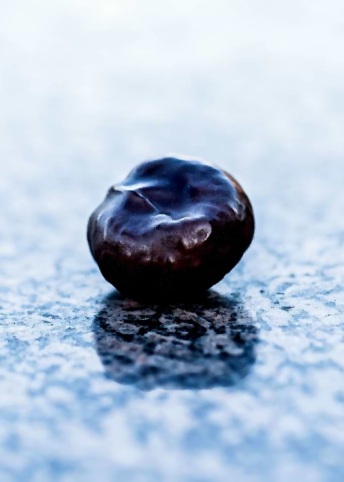 Chestnut On Granite Zen