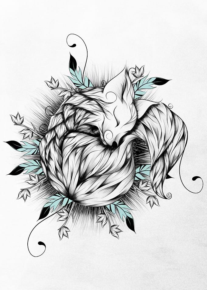 Little Fox