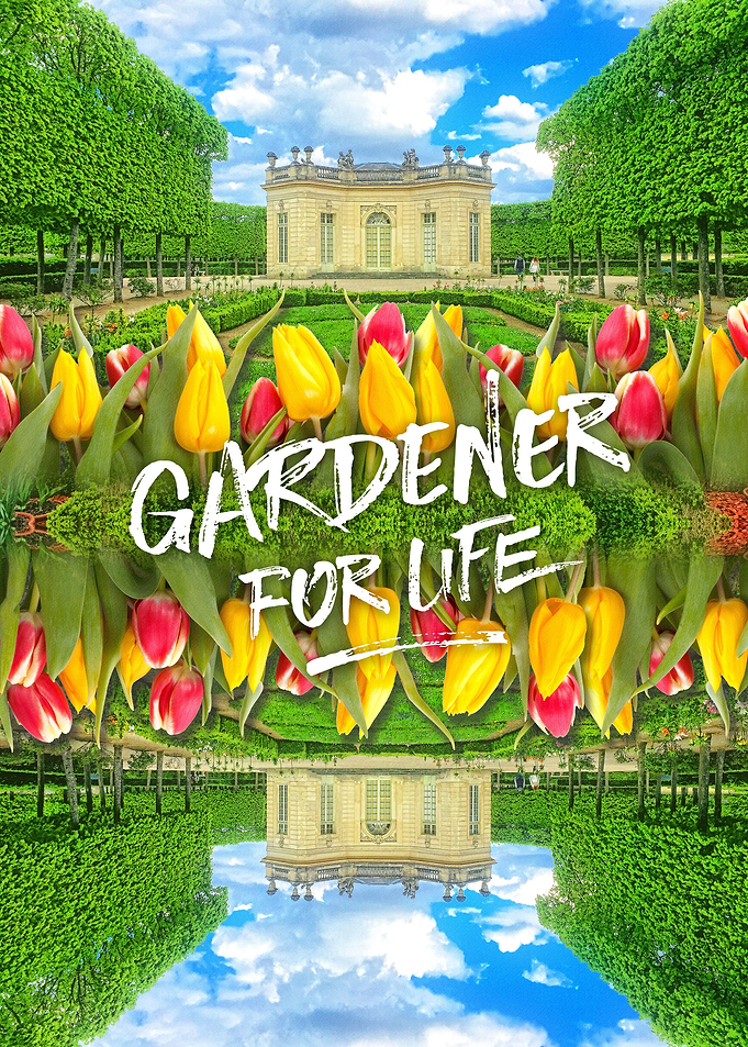 Petit Trianon Tulips Versailles Palace Gardens Paris Fr ...