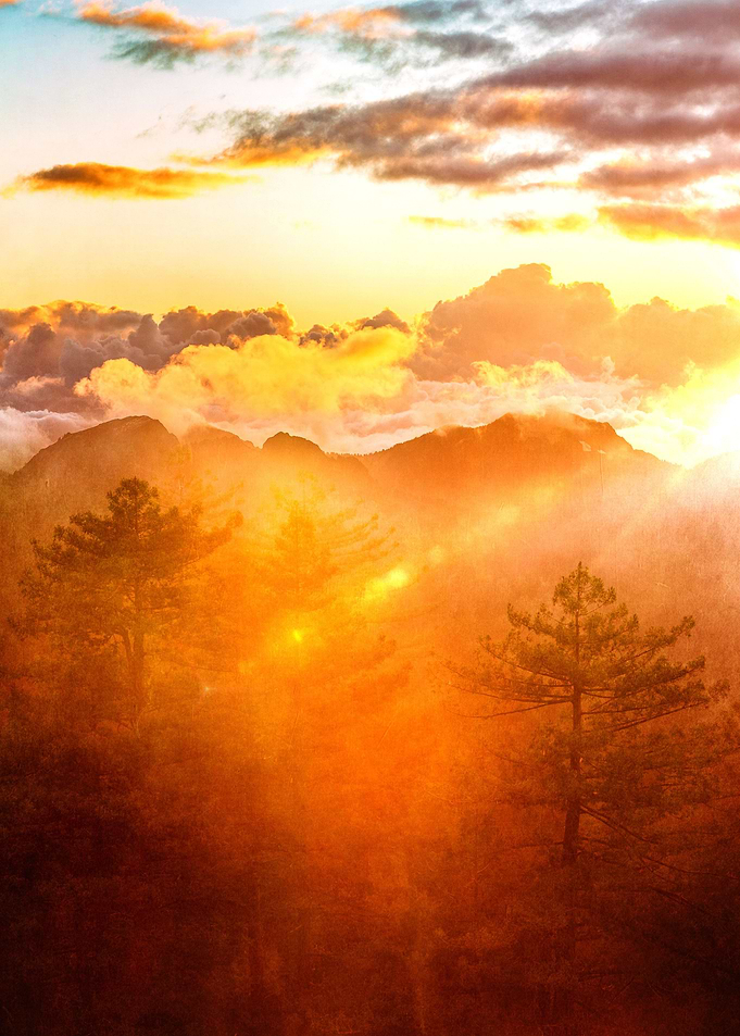 A Brand New Day