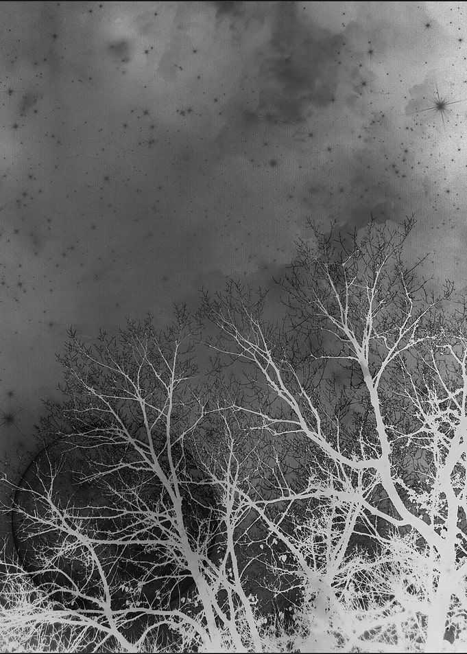 Spider Swarm