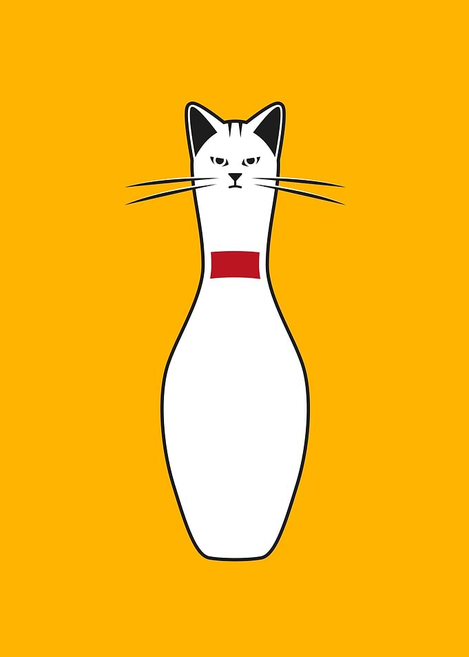 'Alley Cat' All cats don’t care. Some cats are alley ca ...