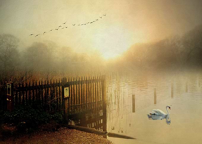 misty Autumn lake in Autumn