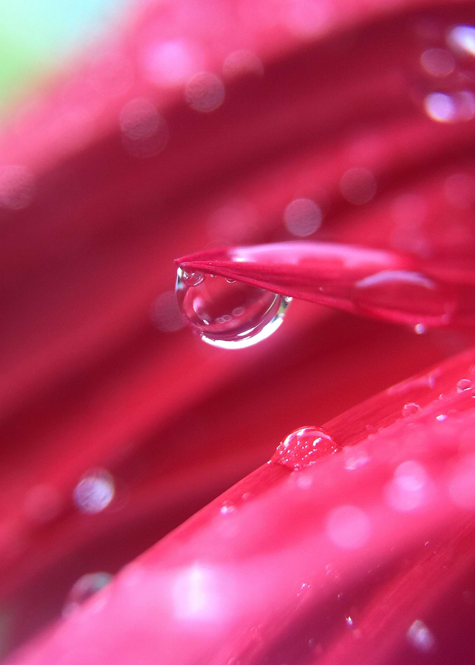 water droplet