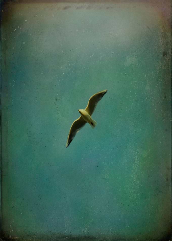 Vintage Color Photograph