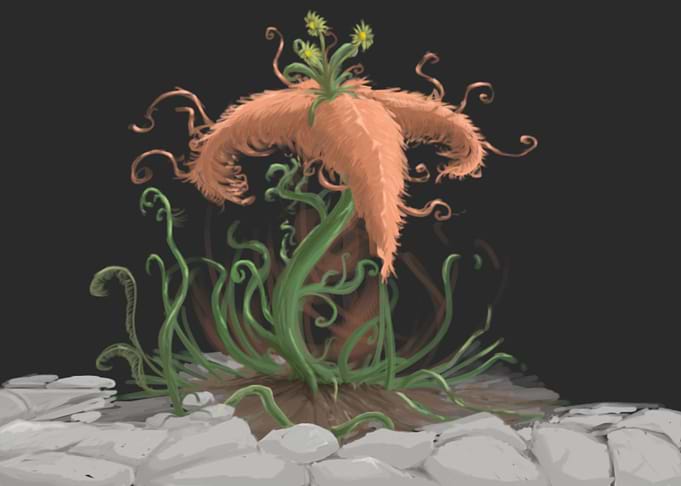 A unusual looking flower.