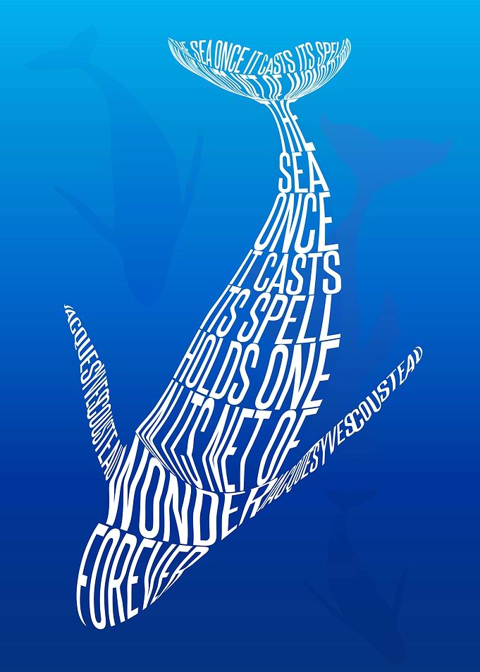 Whale song. The sea,once i