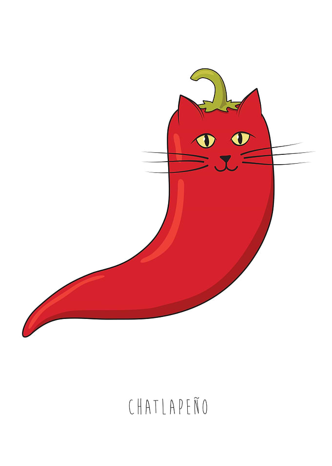 From french: chat (cat) + jalapeno; spicy cat; red hot ...