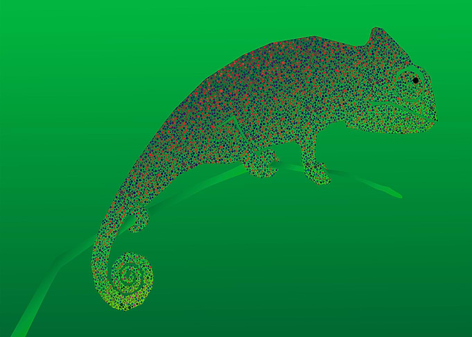 chameleon in green