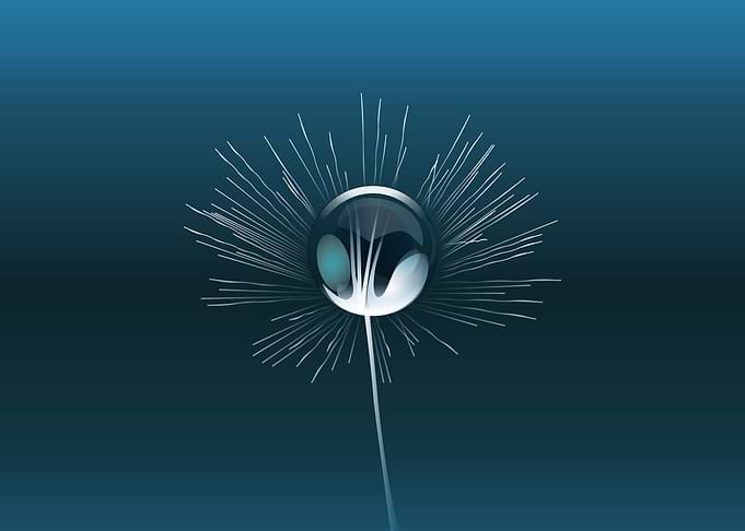 Vector art, macro of the d