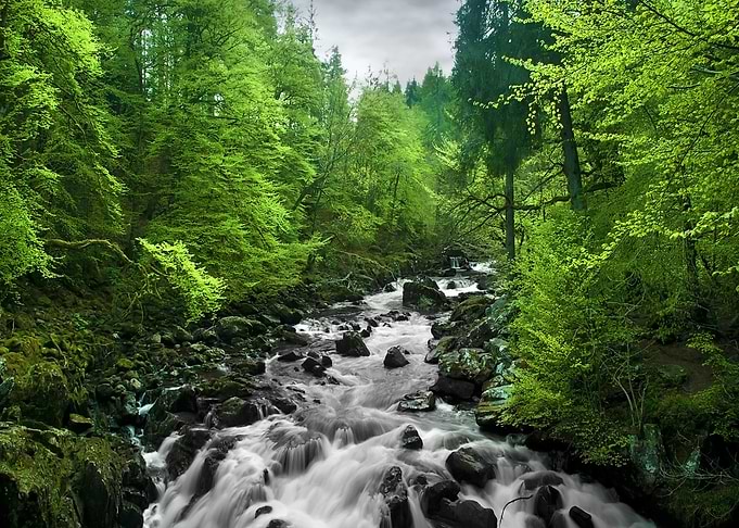 Nature Force