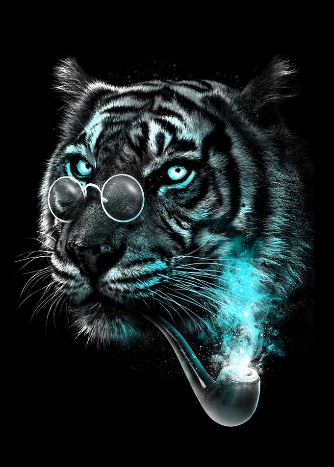 Gentle Tiger